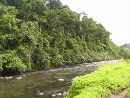 Langaran River