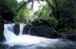 Hikong Alo Waterfalls
