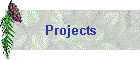 Projects