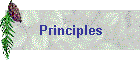 Principles