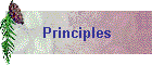 Principles