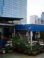 vegetable garden at the rooftop