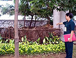 composting garden wastes