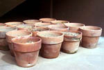 compost pots