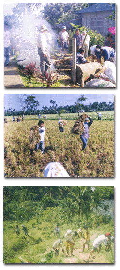 farmer's field activities