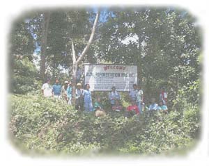 Tulungan Refrorestation