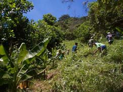 Tulungan women at work