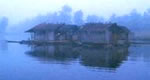 Agusan Marsh