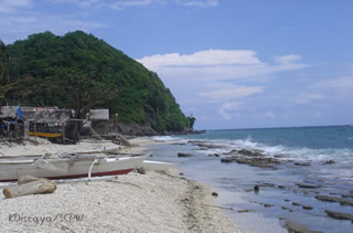 photo by Karen Discaya of the Society for the Conservation of Philippine Wetlands