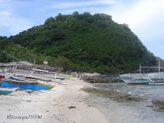 photo by Karen Discaya of the Society for the Conservation of Philippine Wetlands