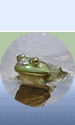 WORLD WETLANDS DAY, 02 February