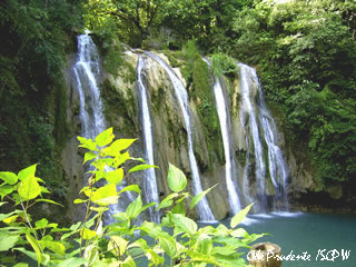 photo by Che Prudente of the Society for the Conservation of Philippine Wetlands