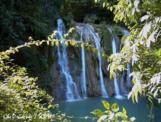 photo by Che Prudente of the Society for the Conservation of Philippine Wetlands