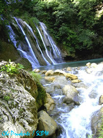 photo by Che Prudente of the Society for the Conservation of Philippine Wetlands