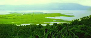 Lumban Delta (Municipality of Lumban, Province of Laguna, PHILIPPINES) 